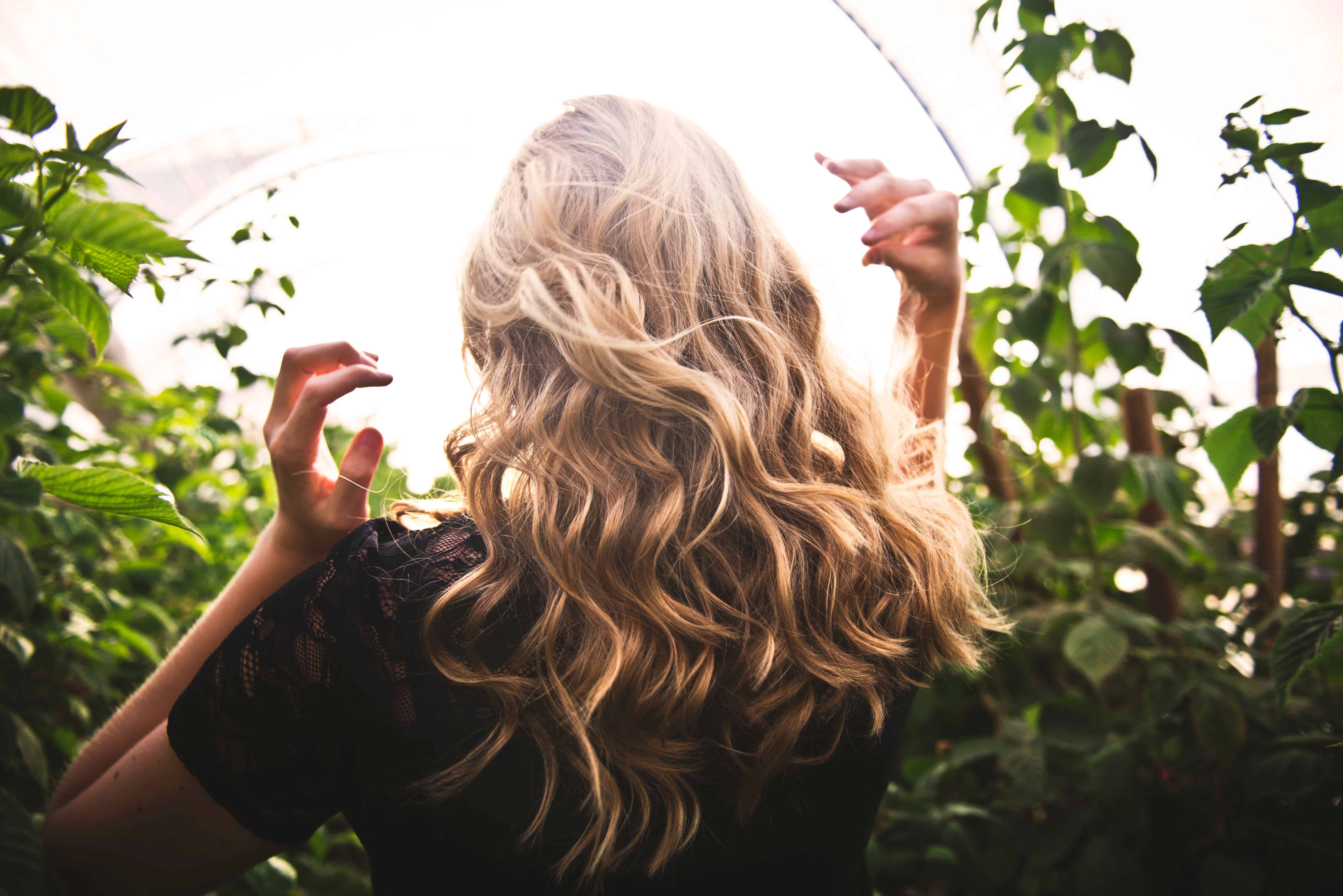 Add Highlights for Spring